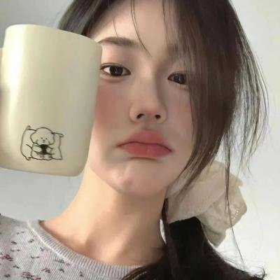 狐狸女士第二季