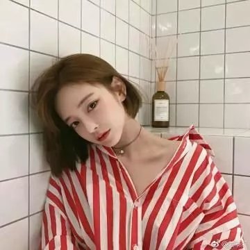 笨金鱼